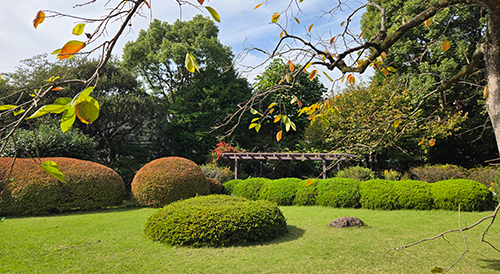 アクセスの画像